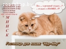 Гостиница для кошек "Мур-Мяу", Минск